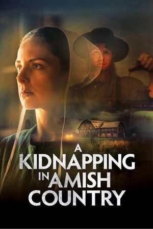 A Kidnapping in Amish Country (2024) - Poster