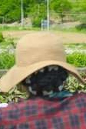 Genie, Make a Wish Season 1 Episode 2 - Poster