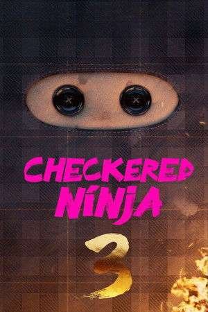 Checkered Ninja 3 (2025) - Poster